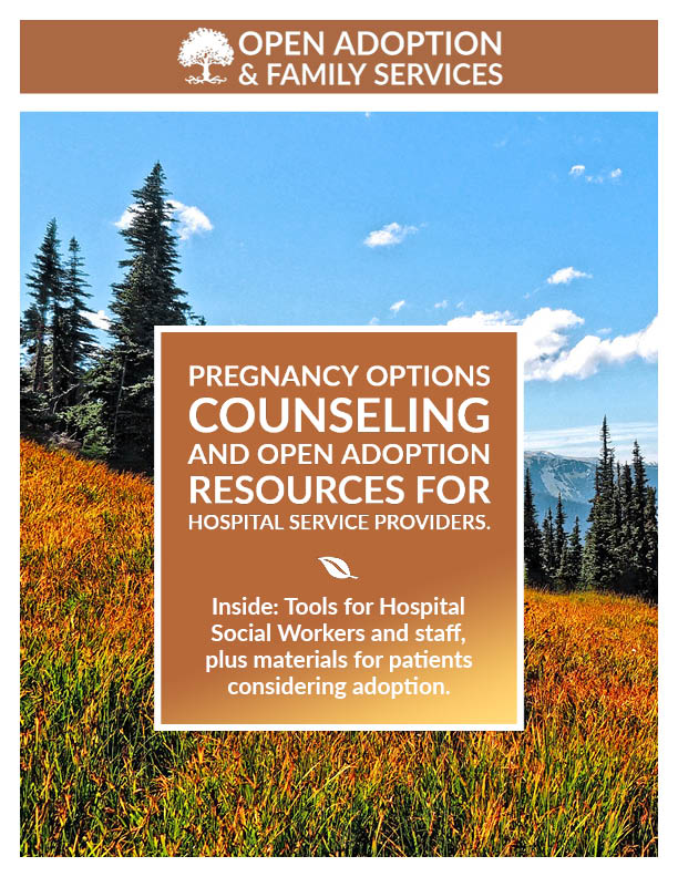 An image of a booklet titled Pregnancy Options Counseling and Open Adoption Resources for Hospital Service Providers