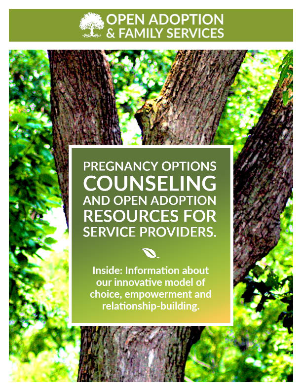 An image of a booklet titled Pregnancy Options Counseling and Open Adoption Resources for Service Providers