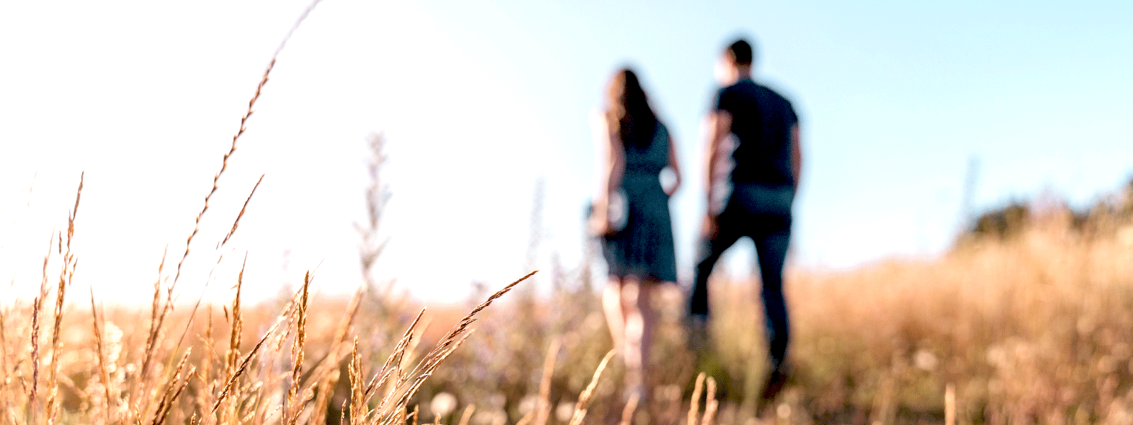 An image with wheat in the foreground and a couple in the background